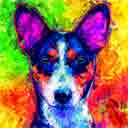 basenji pup art dog art and abstract dogs, pup art dog pop art prints, abstract dog paintings, abstract dog portraits, pop art pet portraits and dog gifts in colorful original pop art dog art and fine art dog prints by artists Jane Billman and Gregg Billman