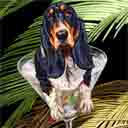 basset hound dog art and martini dogs, basset hound dog pop art prints, dog paintings, dog portraits and martini pet portraits in colorful original basset hound dog art and fine art dog prints by artists Jane Billman and Gregg Billman
