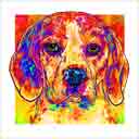beagle headshot pup art dog art and abstract dogs, pup art dog pop art prints, abstract dog paintings, abstract dog portraits, pop art pet portraits and dog gifts in colorful original pop art dog art and fine art dog prints by artists Jane Billman and Gregg Billman
