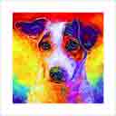 bode jack russell headshot pup art dog art and abstract dogs, pup art dog pop art prints, abstract dog paintings, abstract dog portraits, pop art pet portraits and dog gifts in colorful original pop art dog art and fine art dog prints by artists Jane Billman and Gregg Billman