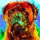 bullmastiff pup art dog art and abstract dogs, pup art dog pop art prints, abstract dog paintings, abstract dog portraits, pop art pet portraits and dog gifts in colorful original pop art dog art and fine art dog prints by artists Jane Billman and Gregg Billman
