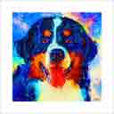 bernese mountain dog headshot pup art dog art and abstract dogs, pup art dog pop art prints, abstract dog paintings, abstract dog portraits, pop art pet portraits and dog gifts in colorful original pop art dog art and fine art dog prints by artists Jane Billman and Gregg Billman