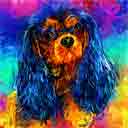 cavalier king charles black and tan pup art dog art and abstract dogs, pup art dog pop art prints, abstract dog paintings, abstract dog portraits, pop art pet portraits and dog gifts in colorful original pop art dog art and fine art dog prints by artists Jane Billman and Gregg Billman