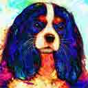 cavalier king charles terrier pup art dog art and abstract dogs, pup art dog pop art prints, abstract dog paintings, abstract dog portraits, pop art pet portraits and dog gifts in colorful original pop art dog art and fine art dog prints by artists Jane Billman and Gregg Billman