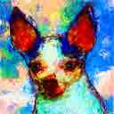 chihuahua frankie pup art dog art and abstract dogs, pup art dog pop art prints, abstract dog paintings, abstract dog portraits, pop art pet portraits and dog gifts in colorful original pop art dog art and fine art dog prints by artists Jane Billman and Gregg Billman