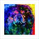 chow chow black headshot pup art dog art and abstract dogs, pup art dog pop art prints, abstract dog paintings, abstract dog portraits, pop art pet portraits and dog gifts in colorful original pop art dog art and fine art dog prints by artists Jane Billman and Gregg Billman