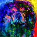 chow chow black pup art dog art and abstract dogs, pup art dog pop art prints, abstract dog paintings, abstract dog portraits, pop art pet portraits and dog gifts in colorful original pop art dog art and fine art dog prints by artists Jane Billman and Gregg Billman
