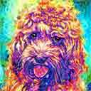 cockapoo pup art dog art and abstract dogs, pup art dog pop art prints, abstract dog paintings, abstract dog portraits, pop art pet portraits and dog gifts in colorful original pop art dog art and fine art dog prints by artists Jane Billman and Gregg Billman