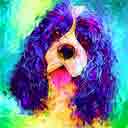 cocker spaniel pup art dog art and abstract dogs, pup art dog pop art prints, abstract dog paintings, abstract dog portraits, pop art pet portraits and dog gifts in colorful original pop art dog art and fine art dog prints by artists Jane Billman and Gregg Billman