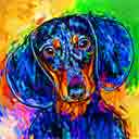 dachshund pup art dog art and abstract dogs, pup art dog pop art prints, abstract dog paintings, abstract dog portraits, pop art pet portraits and dog gifts in colorful original pop art dog art and fine art dog prints by artists Jane Billman and Gregg Billman