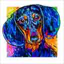 dachshund headshot pup art dog art and abstract dogs, pup art dog pop art prints, abstract dog paintings, abstract dog portraits, pop art pet portraits and dog gifts in colorful original pop art dog art and fine art dog prints by artists Jane Billman and Gregg Billman