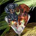 black and red dachshunds dog art and martini dogs, dachshunds dog pop art prints, dog paintings, dog portraits and martini pet portraits in colorful original dachshunds dog art and fine art dog prints by artists Jane Billman and Gregg Billman