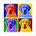 lab daisy headshot pup art dog art and abstract dogs, pup art dog pop art prints, abstract dog paintings, abstract dog portraits, pop art pet portraits and dog gifts in colorful original pop art dog art and fine art dog prints by artists Jane Billman and Gregg Billman