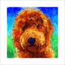 goldendoodle curly hair headshot pup art dog art and abstract dogs, pup art dog pop art prints, abstract dog paintings, abstract dog portraits, pop art pet portraits and dog gifts in colorful original pop art dog art and fine art dog prints by artists Jane Billman and Gregg Billman