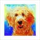 goldendoodle cream headshot pup art dog art and abstract dogs, pup art dog pop art prints, abstract dog paintings, abstract dog portraits, pop art pet portraits and dog gifts in colorful original pop art dog art and fine art dog prints by artists Jane Billman and Gregg Billman