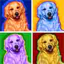 bonsai golden retriever pup art dog art and abstract dogs, pup art dog pop art prints, abstract dog paintings, abstract dog portraits, pop art pet portraits and dog gifts in colorful original pop art dog art and fine art dog prints by artists Jane Billman and Gregg Billman