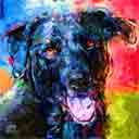 black lab pup art dog art and abstract dogs, pup art dog pop art prints, abstract dog paintings, abstract dog portraits, pop art pet portraits and dog gifts in colorful original pop art dog art and fine art dog prints by artists Jane Billman and Gregg Billman