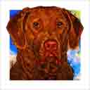 chocolate lab headshot pup art dog art and abstract dogs, pup art dog pop art prints, abstract dog paintings, abstract dog portraits, pop art pet portraits and dog gifts in colorful original pop art dog art and fine art dog prints by artists Jane Billman and Gregg Billman