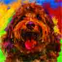 labradoodle chocolate pup art dog art and abstract dogs, pup art dog pop art prints, abstract dog paintings, abstract dog portraits, pop art pet portraits and dog gifts in colorful original pop art dog art and fine art dog prints by artists Jane Billman and Gregg Billman