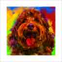labradoodle chocolate headshot pup art dog art and abstract dogs, pup art dog pop art prints, abstract dog paintings, abstract dog portraits, pop art pet portraits and dog gifts in colorful original pop art dog art and fine art dog prints by artists Jane Billman and Gregg Billman