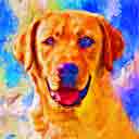 yellow lab pup art dog art and abstract dogs, pup art dog pop art prints, abstract dog paintings, abstract dog portraits, pop art pet portraits and dog gifts in colorful original pop art dog art and fine art dog prints by artists Jane Billman and Gregg Billman