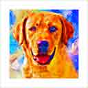 yellow lab headshot pup art dog art and abstract dogs, pup art dog pop art prints, abstract dog paintings, abstract dog portraits, pop art pet portraits and dog gifts in colorful original pop art dog art and fine art dog prints by artists Jane Billman and Gregg Billman