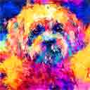 maggie one of a kind breeds pup art dog art and abstract dogs, pup art dog pop art prints, abstract dog paintings, abstract dog portraits, pop art pet portraits and dog gifts in colorful original pop art dog art and fine art dog prints by artists Jane Billman and Gregg Billman