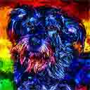 schnauzer pup art dog art and abstract dogs, pup art dog pop art prints, abstract dog paintings, abstract dog portraits, pop art pet portraits and dog gifts in colorful original pop art dog art and fine art dog prints by artists Jane Billman and Gregg Billman