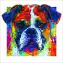 millie boxer headshot pup art dog art and abstract dogs, pup art dog pop art prints, abstract dog paintings, abstract dog portraits, pop art pet portraits and dog gifts in colorful original pop art dog art and fine art dog prints by artists Jane Billman and Gregg Billman