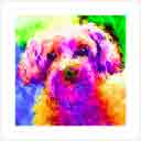mollie headshot one of a kind pup art dog art and abstract dogs, pup art dog pop art prints, abstract dog paintings, abstract dog portraits, pop art pet portraits and dog gifts in colorful original pop art dog art and fine art dog prints by artists Jane Billman and Gregg Billman