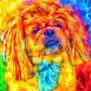 pekingese pup art dog art and abstract dogs, pup art dog pop art prints, abstract dog paintings, abstract dog portraits, pop art pet portraits and dog gifts in colorful original pop art dog art and fine art dog prints by artists Jane Billman and Gregg Billman