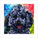 poodle black headshot pup art dog art and abstract dogs, pup art dog pop art prints, abstract dog paintings, abstract dog portraits, pop art pet portraits and dog gifts in colorful original pop art dog art and fine art dog prints by artists Jane Billman and Gregg Billman