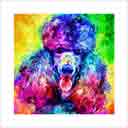poodle headshot pup art dog art and abstract dogs, pup art dog pop art prints, abstract dog paintings, abstract dog portraits, pop art pet portraits and dog gifts in colorful original pop art dog art and fine art dog prints by artists Jane Billman and Gregg Billman