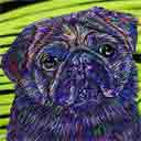 black pug pup art dog art and abstract dogs, pup art dog pop art prints, abstract dog paintings, abstract dog portraits, pop art pet portraits and dog gifts in colorful original pop art dog art and fine art dog prints by artists Jane Billman and Gregg Billman