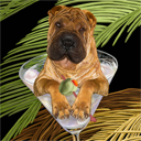 chinese sharpei dog art and martini dogs, chinese sharpei dog pop art prints, dog paintings, dog portraits and martini pet portraits in colorful original chinese sharpei dog art and fine art dog prints by artists Jane Billman and Gregg Billman