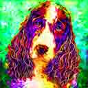 springer spaniel red and white pup art dog art and abstract dogs, pup art dog pop art prints, abstract dog paintings, abstract dog portraits, pop art pet portraits and dog gifts in colorful original pop art dog art and fine art dog prints by artists Jane Billman and Gregg Billman