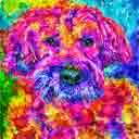 soft coated wheaton terrier pup art dog art and abstract dogs, pup art dog pop art prints, abstract dog paintings, abstract dog portraits, pop art pet portraits and dog gifts in colorful original pop art dog art and fine art dog prints by artists Jane Billman and Gregg Billman