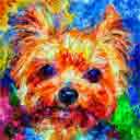 yorkies pup art dog art and abstract dogs, pup art dog pop art prints, abstract dog paintings, abstract dog portraits, pop art pet portraits and dog gifts in colorful original pop art dog art and fine art dog prints by artists Jane Billman and Gregg Billman