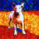 bull terrier pup art dog art and abstract dogs, pup art dog pop art prints, abstract dog paintings, abstract dog portraits, pop art pet portraits and dog gifts in colorful original pop art dog art and fine art dog prints by artists Jane Billman and Gregg Billman