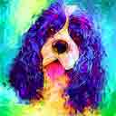 cocker spaniel pup art dog art and abstract dogs, pup art dog pop art prints, abstract dog paintings, abstract dog portraits, pop art pet portraits and dog gifts in colorful original pop art dog art and fine art dog prints by artists Jane Billman and Gregg Billman