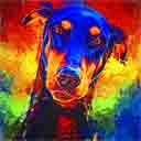 doberman pinscher pup art dog art and abstract dogs, pup art dog pop art prints, abstract dog paintings, abstract dog portraits, pop art pet portraits and dog gifts in colorful original pop art dog art and fine art dog prints by artists Jane Billman and Gregg Billman