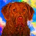 chesapeake bay retriever pup art dog art and abstract dogs, pup art dog pop art prints, abstract dog paintings, abstract dog portraits, pop art pet portraits and dog gifts in colorful original pop art dog art and fine art dog prints by artists Jane Billman and Gregg Billman