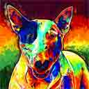 bull terrier marley colorful pup art dog art and abstract dogs, pup art dog pop art prints, abstract dog paintings, abstract dog portraits, pop art pet portraits and dog gifts in colorful original pop art dog art and fine art dog prints by artists Jane Billman and Gregg Billman